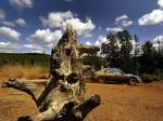 Subaru Impreza WRC 2002 года